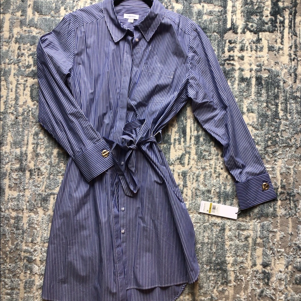 NWT, Calvin Klein Nautical, Blue and White Striped Shirt dress.